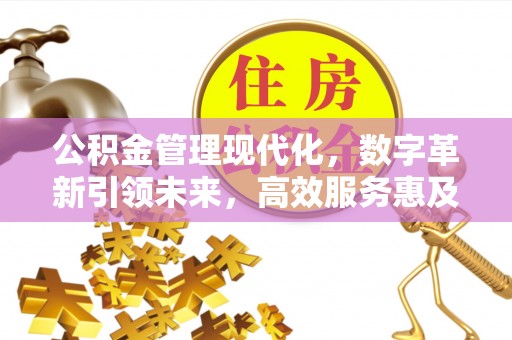 小店公积金管理现代化，数字革新引领未来，高效服务惠及民生