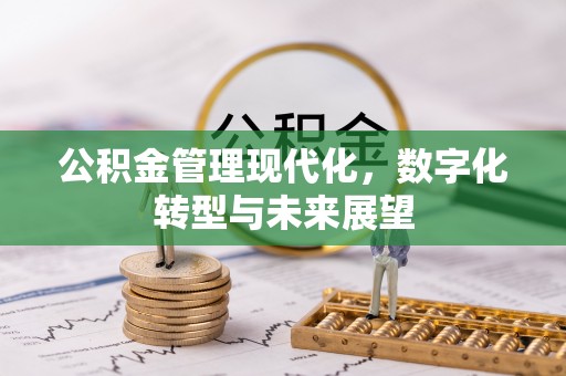 小店公积金管理现代化，数字化转型与未来展望