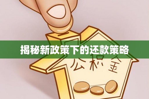 小店揭秘新政策下的还款策略