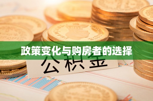 小店政策变化与购房者的选择