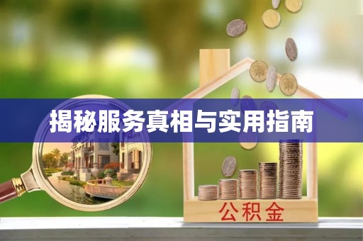 小店揭秘服务真相与实用指南