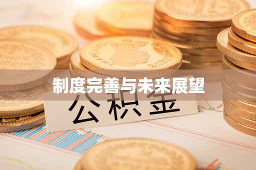 小店制度完善与未来展望
