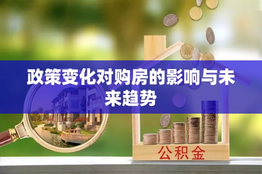 小店政策变化对购房的影响与未来趋势