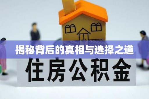 小店揭秘背后的真相与选择之道