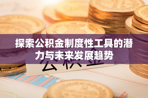 小店探索公积金制度性工具的潜力与未来发展趋势