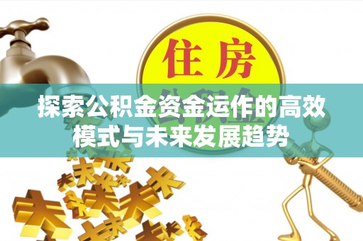 小店探索公积金资金运作的高效模式与未来发展趋势