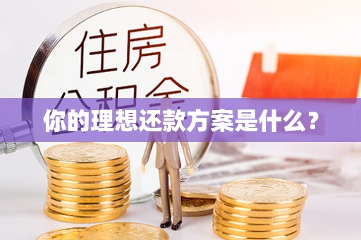 小店你的理想还款方案是什么？