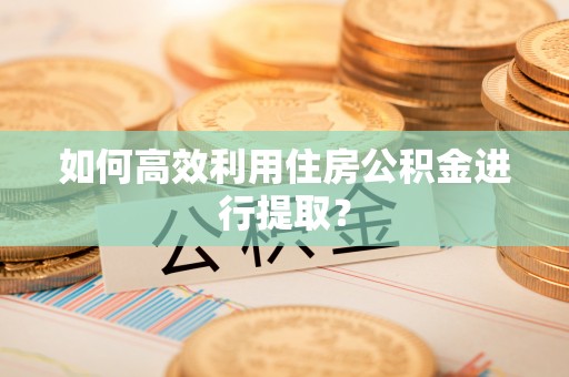 小店如何高效利用住房公积金进行提取？