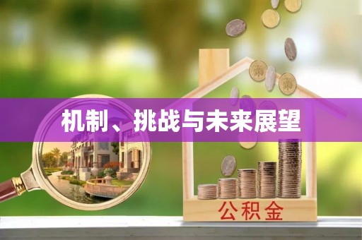 小店机制、挑战与未来展望