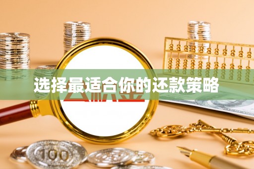 小店选择最适合你的还款策略