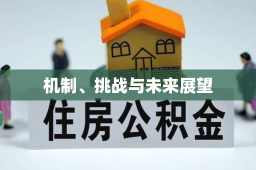 小店机制、挑战与未来展望